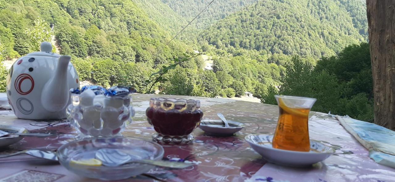 Gabala Mountains Villa 外观 照片